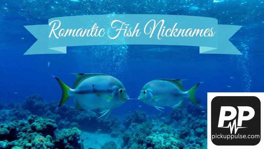 Fish Nicknames