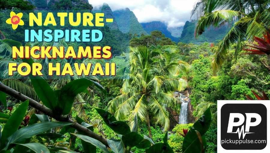 Nicknames for Hawaii