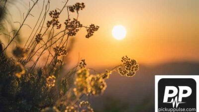 Nicknames for the Sun