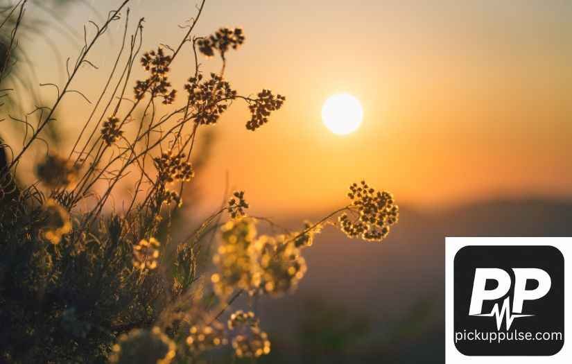 Nicknames for the Sun