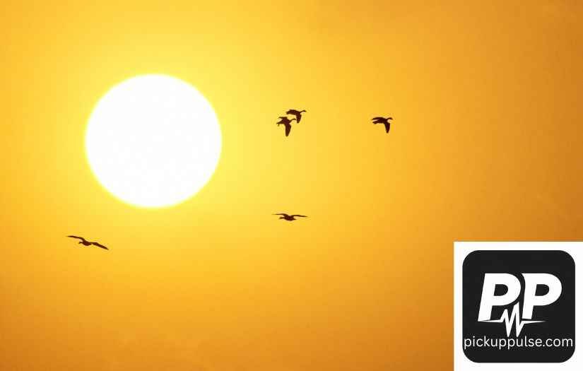 Nicknames for the Sun