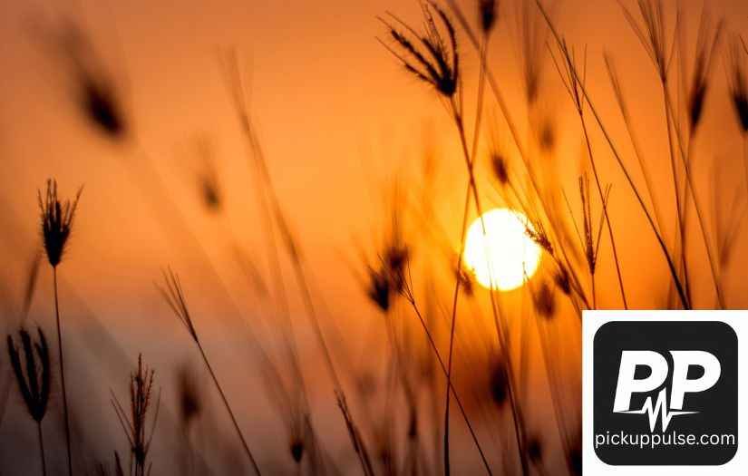 Nicknames for the Sun