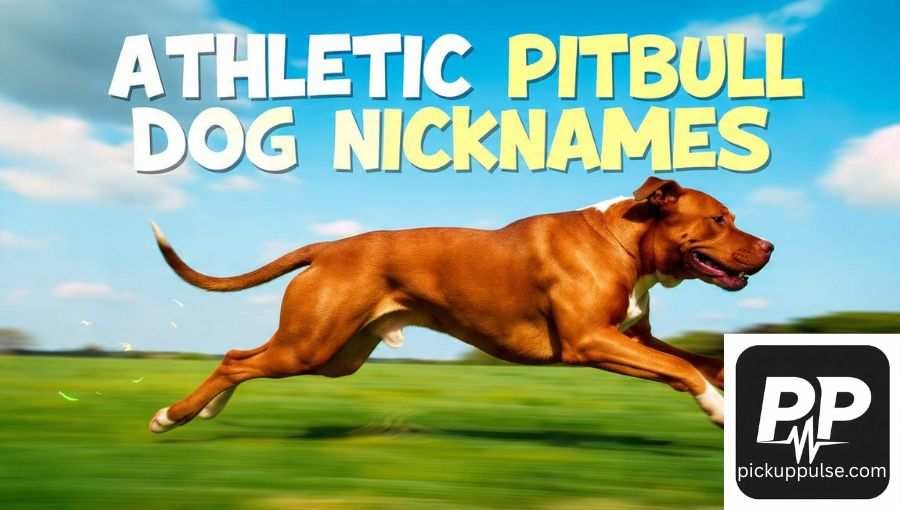 Pitbull Dog Nicknames