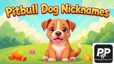 Pitbull Dog Nicknames