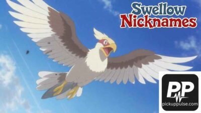 Swellow Nicknames