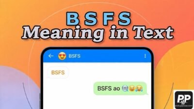 BSFS Meaning in Text