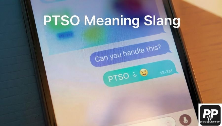 PTSO Meaning Slang