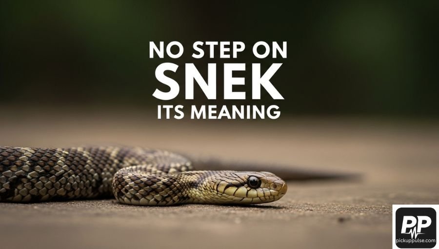 No Step on Snek Its Meaning