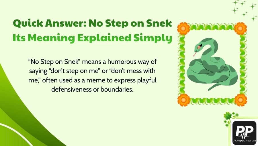 No Step on Snek Its Meaning