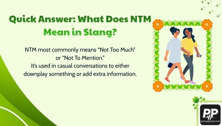 NTM Meaning Slang