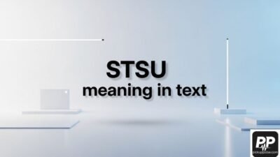 STSU Meaning in Text
