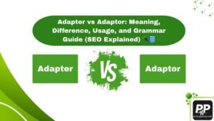 Adapter vs Adaptor