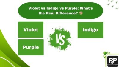 Violet vs Indigo vs Purple