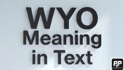 WYO Meaning in Text